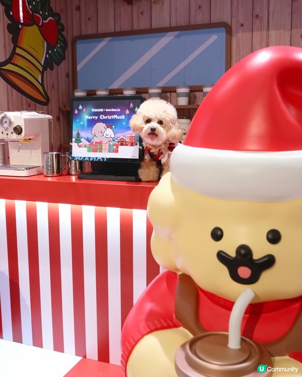 貴婦犬Muck登陸香港啦