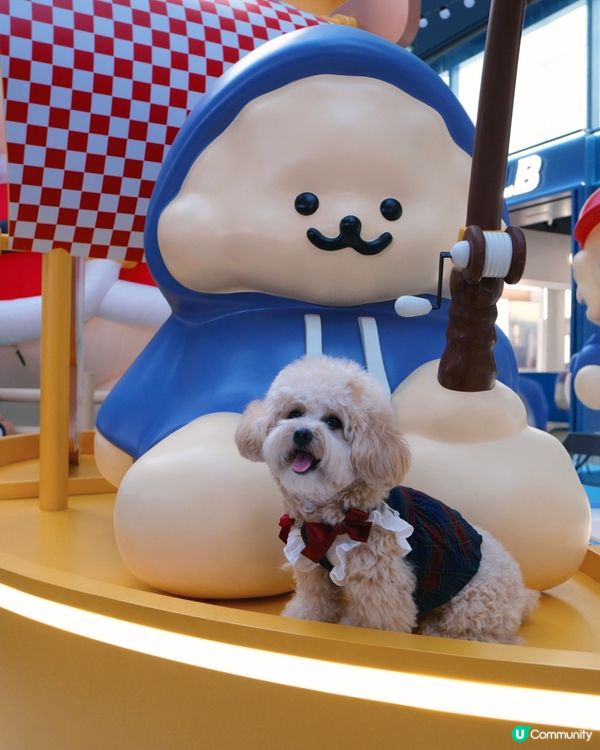 貴婦犬Muck登陸香港啦