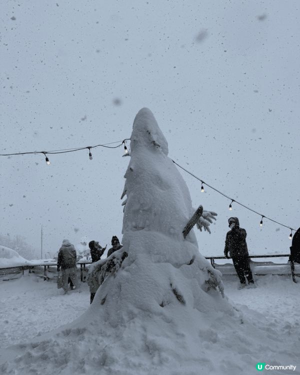 聖誕節當然要配白雪雪既雪，冬天去日本慶祝聖誕就一流啦。