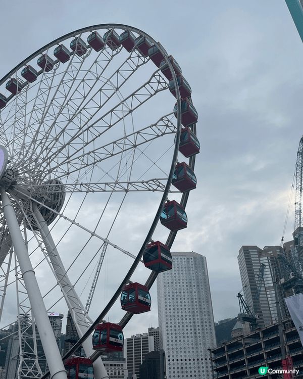 每年聖誕節對我嚟講，最大嘅小確幸就係行去中環海旁，望住香港閃...