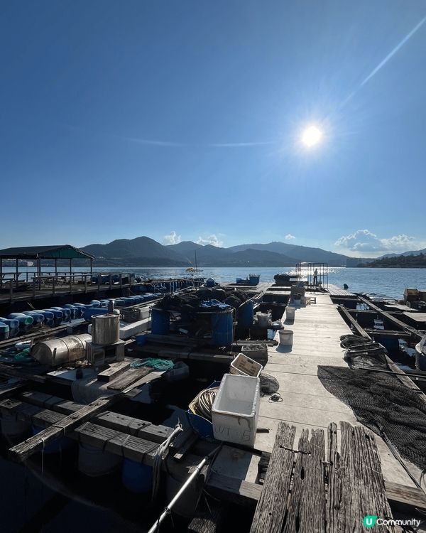 位於大埔三門仔的魚排，隨了可以享受寧靜的環境釣魚之外，吹吹海...