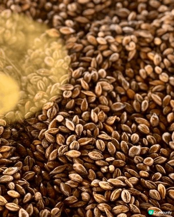 健力士啤酒廠聖誕特別飲品，清純又苦澀，好有特別味道。 東京