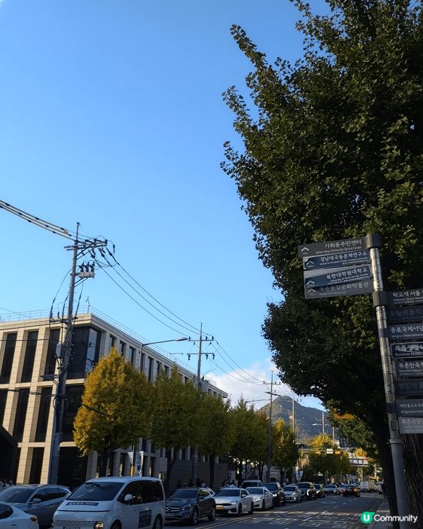 London Bagel Museum 好味bagel 韓國...