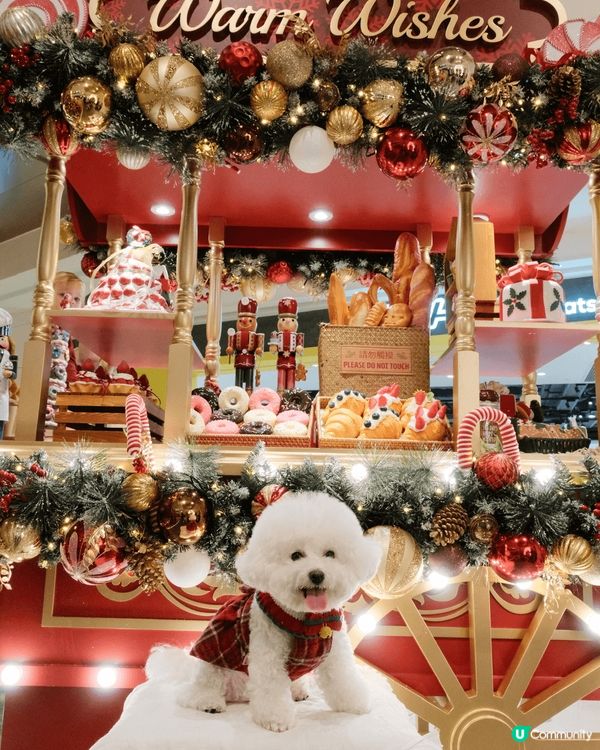 聖誕打卡超贊地！滿是聖誕元素，小兔玩偶、雪人擺件超可愛，還有...