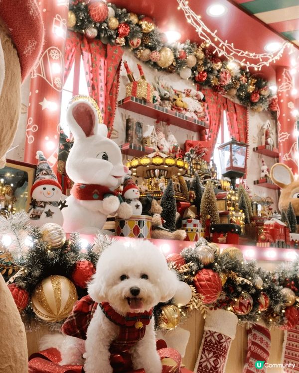 聖誕打卡超贊地！滿是聖誕元素，小兔玩偶、雪人擺件超可愛，還有...