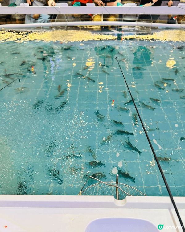 位置於深圳華強北，兩個人嘅價錢只係需要260$釣完啲坑，佢會...