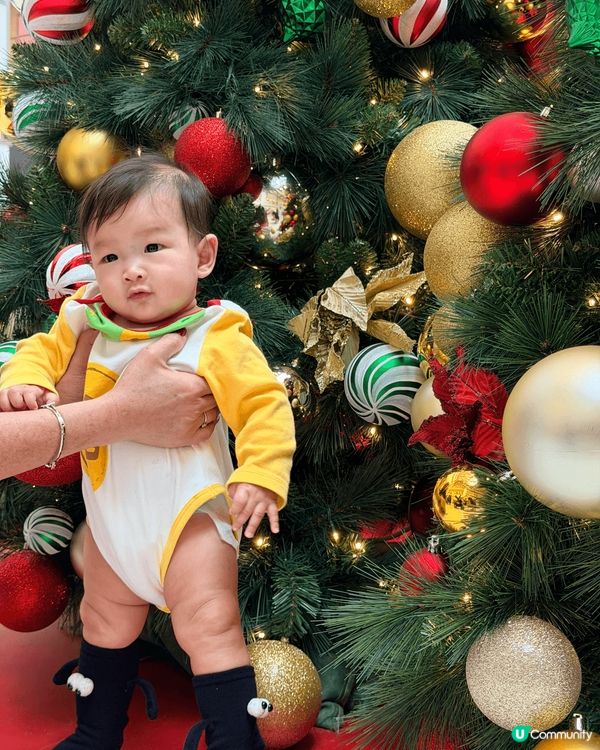 沙田新城市廣場都有聖誕裝飾啦 好岩親子不齊打卡影相
