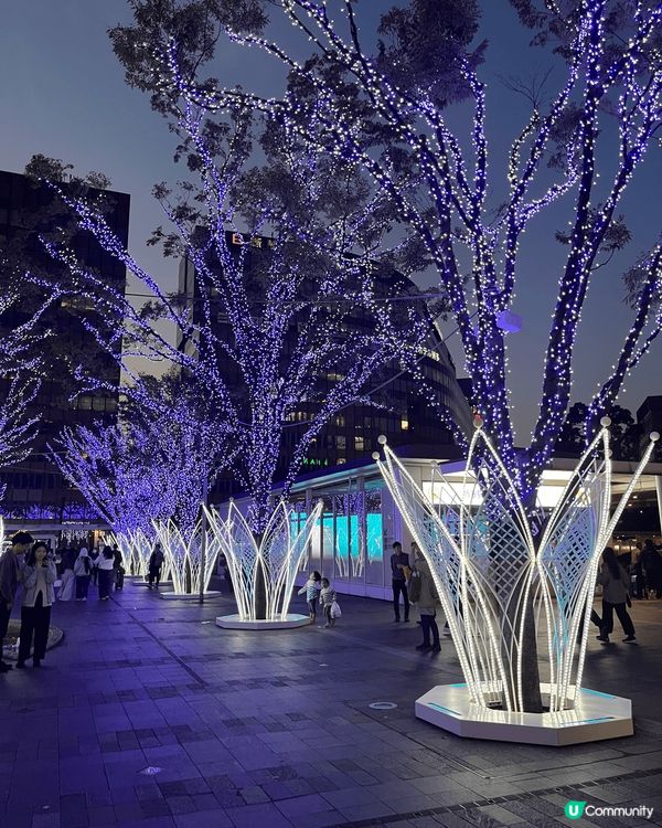 福岡天神既燈色已經亮燈，真係好靚好值得去