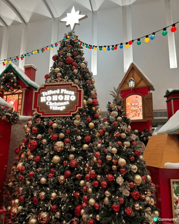 聖誕節要去商場睇聖誕燈飾，影靚相，又可以食得豐富一點，慰勞一...