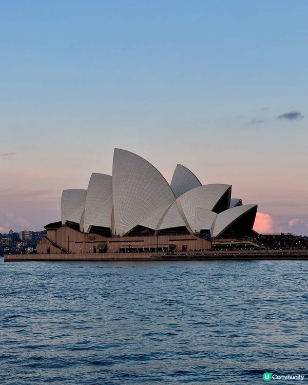 悉尼週末市集掃街🇦🇺出海睇鯨魚