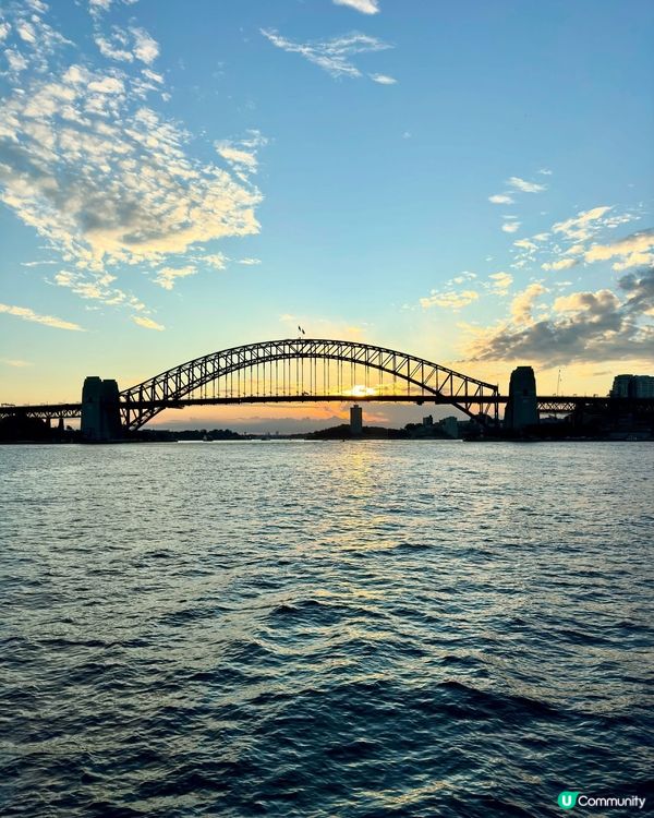 悉尼週末市集掃街🇦🇺出海睇鯨魚