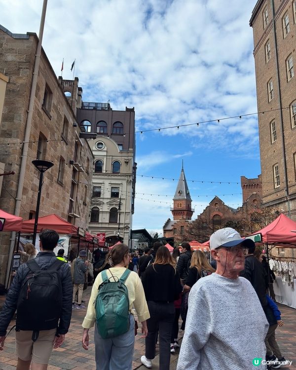 悉尼週末市集掃街🇦🇺出海睇鯨魚