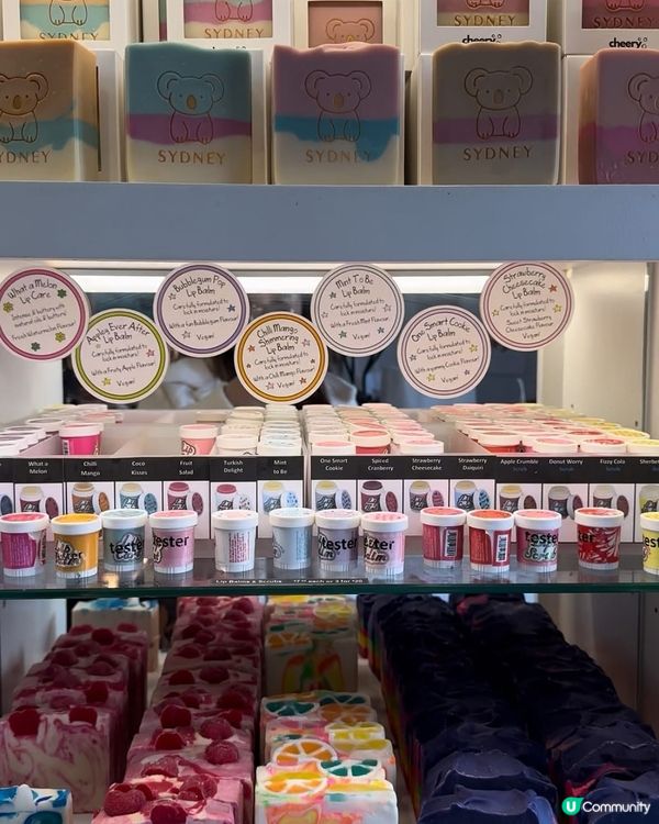 悉尼週末市集掃街🇦🇺出海睇鯨魚