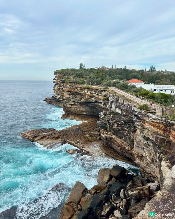 悉尼自殺崖🇦🇺🇦🇺以前真係好多人係度自殺。。。