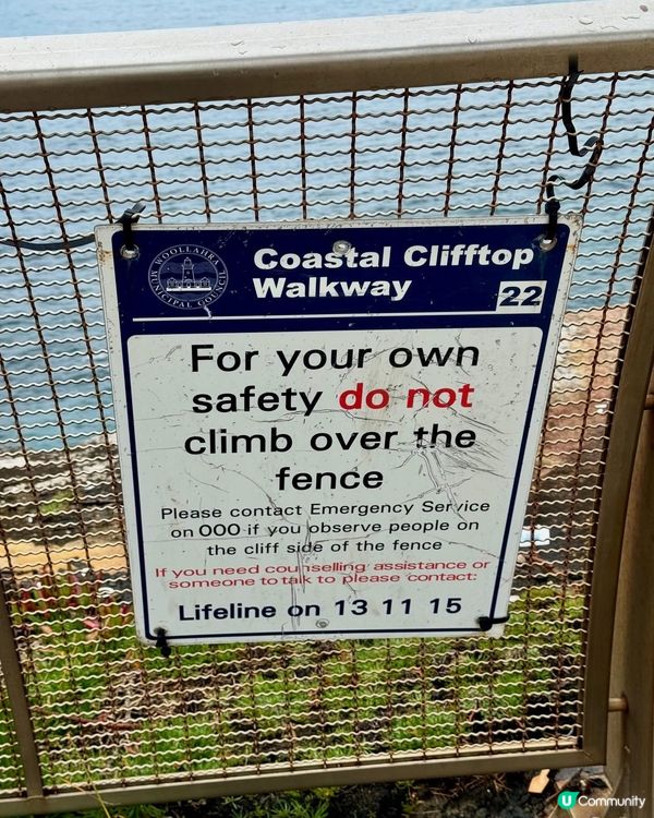 悉尼自殺崖🇦🇺🇦🇺以前真係好多人係度自殺。。。