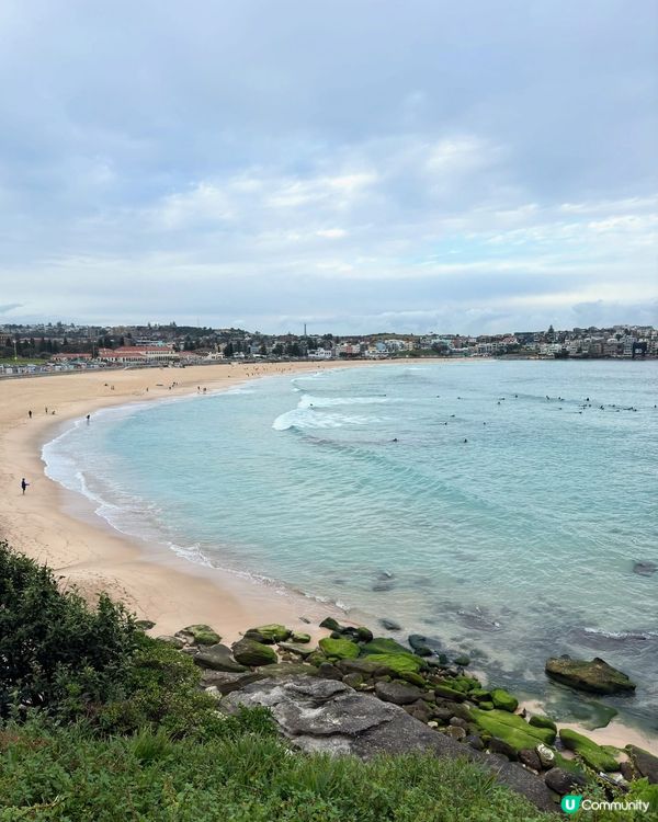 悉尼自殺崖🇦🇺🇦🇺以前真係好多人係度自殺。。。