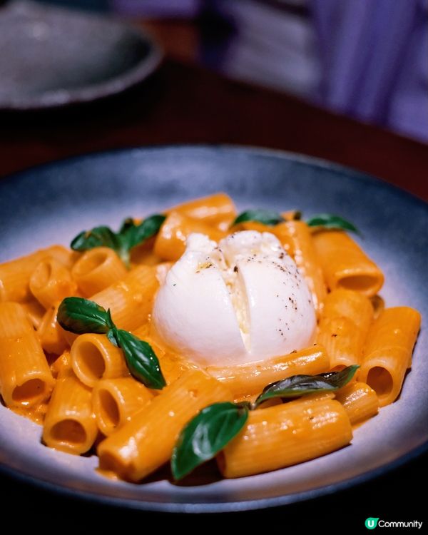 人氣餐廳🏆！創意菜+寵物友善🐶，必去！😋