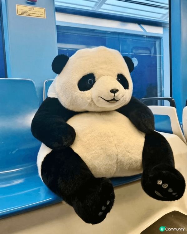 適逢天氣轉涼，帶小朋友北上廣州秋遊，打卡廣州熊貓主題1號有軌...
