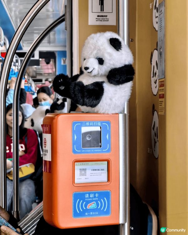 適逢天氣轉涼，帶小朋友北上廣州秋遊，打卡廣州熊貓主題1號有軌...