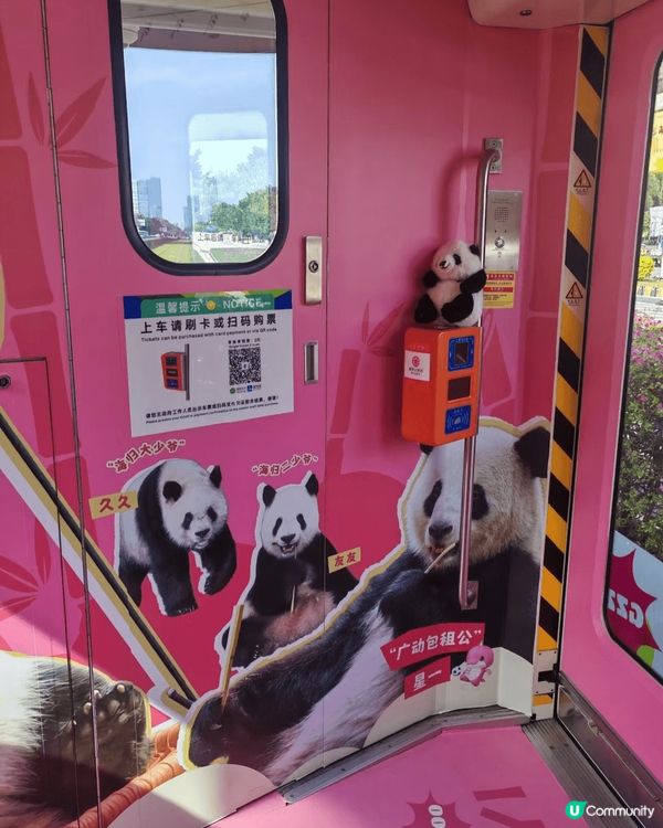適逢天氣轉涼，帶小朋友北上廣州秋遊，打卡廣州熊貓主題1號有軌...