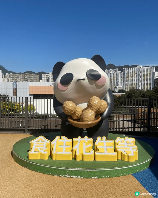 小朋友今年夏天滿1歲時，帶佢去到位於沙田新城市廣場的全港首個...