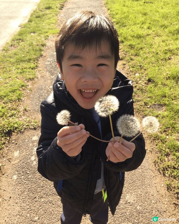 第一次帶兩個小朋友去公園賞花，佢哋第一次見到蒲公英，好奇吹散...
