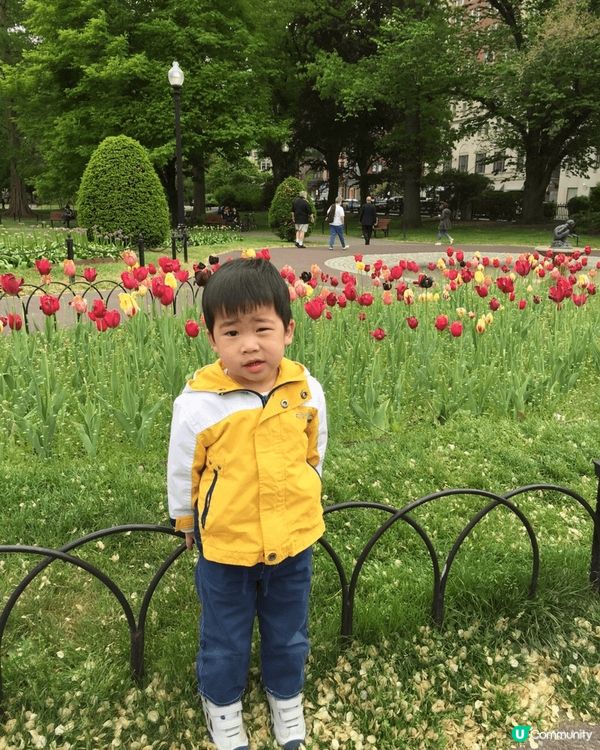 第一次帶兩個小朋友去公園賞花，佢哋第一次見到蒲公英，好奇吹散...