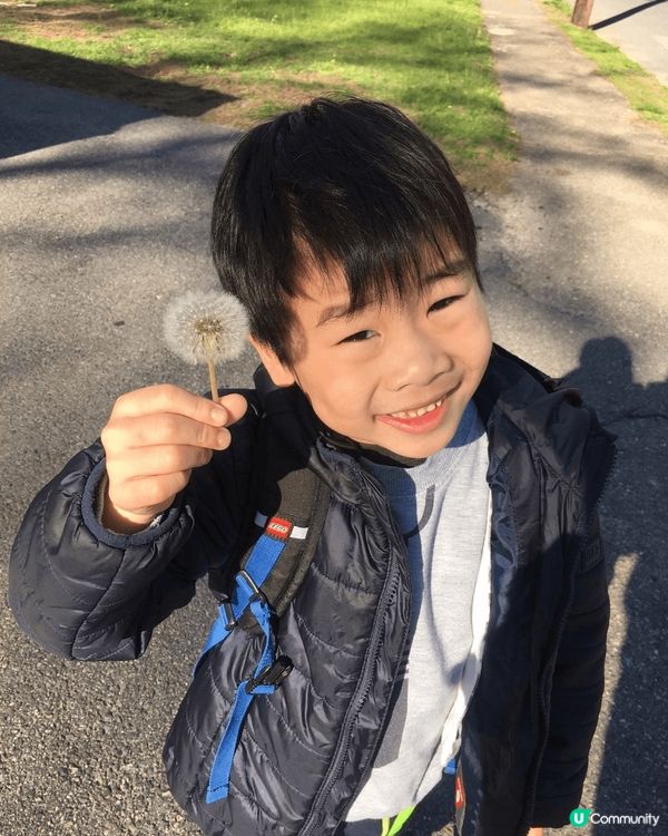 第一次帶兩個小朋友去公園賞花，佢哋第一次見到蒲公英，好奇吹散...
