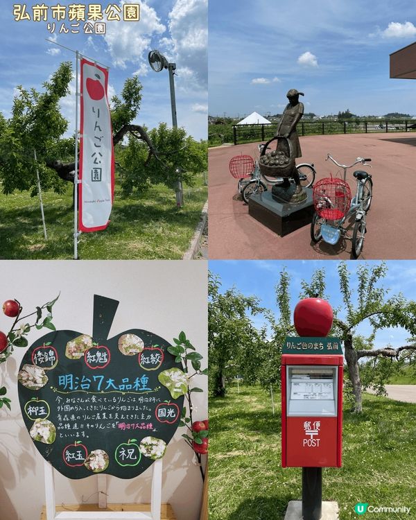 青森悠閒之旅🍎周圍食蘋果和帆立貝!!