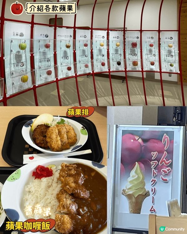 青森悠閒之旅🍎周圍食蘋果和帆立貝!!