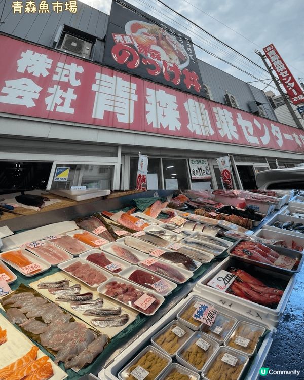 青森悠閒之旅🍎周圍食蘋果和帆立貝!!