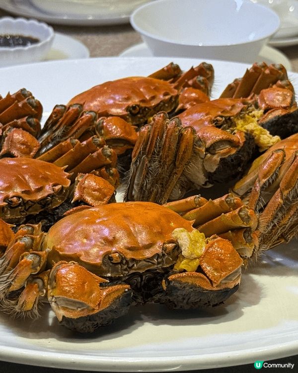 俗語有云「九月圓臍十月尖」