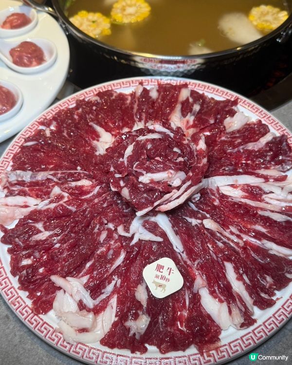 黃肥牛🤤雪花牛😍手打牛丸😋！合悅真牛打卡！