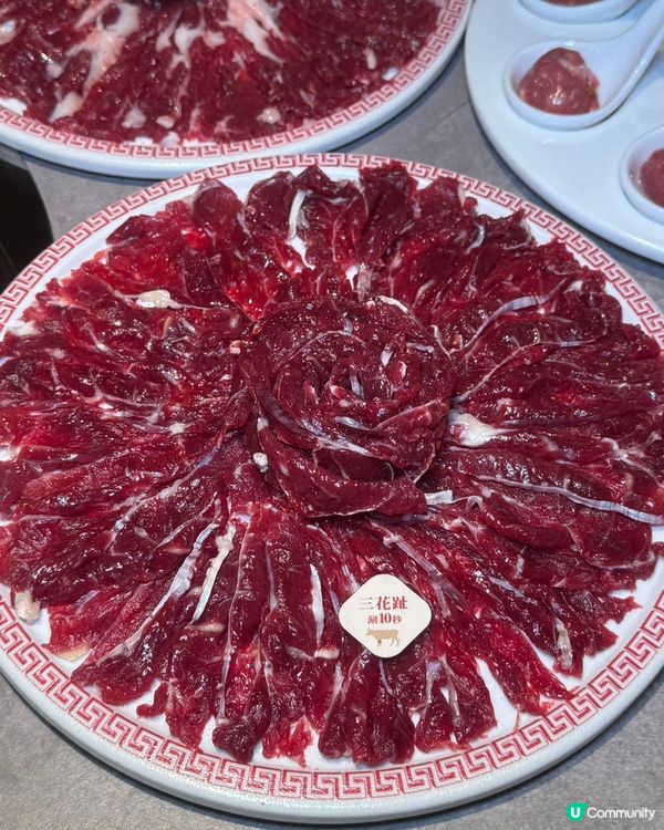 黃肥牛🤤雪花牛😍手打牛丸😋！合悅真牛打卡！