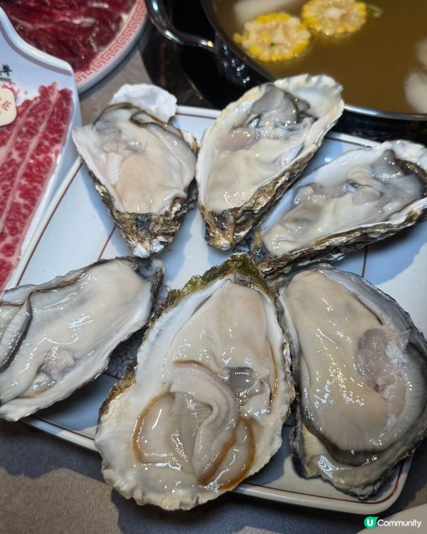 黃肥牛🤤雪花牛😍手打牛丸😋！合悅真牛打卡！
