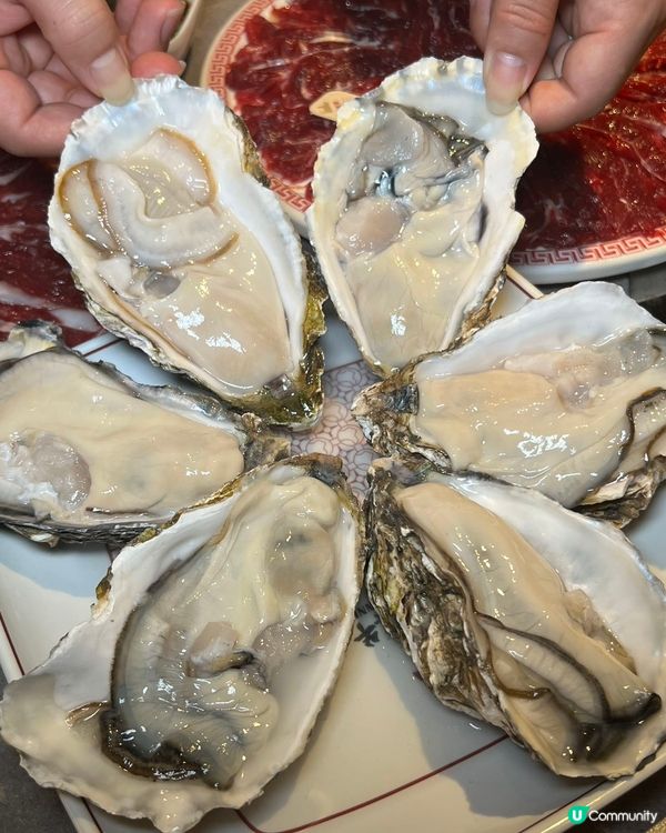 黃肥牛🤤雪花牛😍手打牛丸😋！合悅真牛打卡！