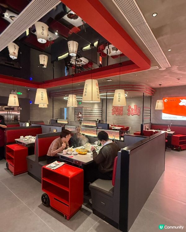 黃肥牛🤤雪花牛😍手打牛丸😋！合悅真牛打卡！