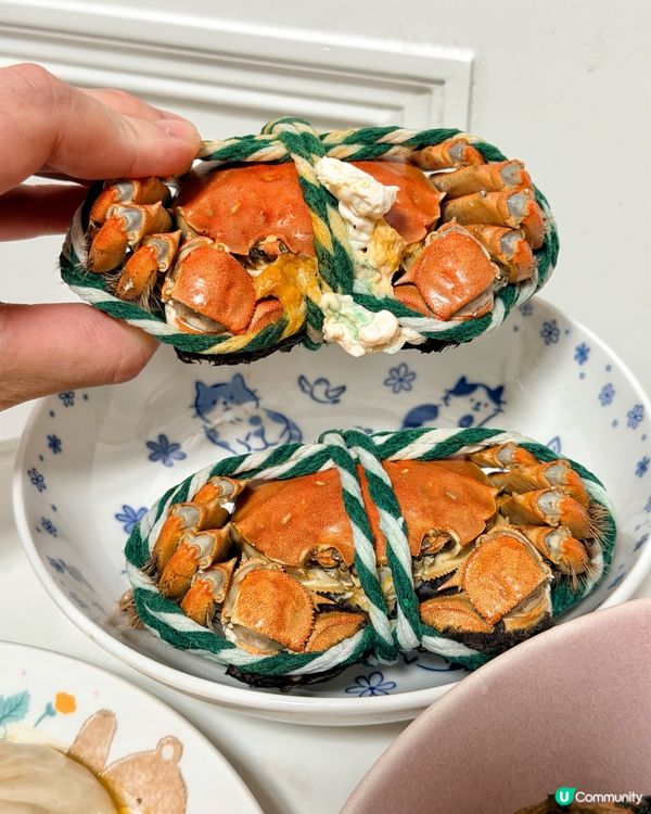 上海三陽行🦀大閘蟹盛宴！懶人必備🤤