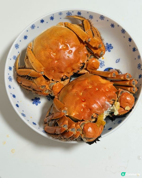 上海三陽行🦀大閘蟹盛宴！懶人必備🤤