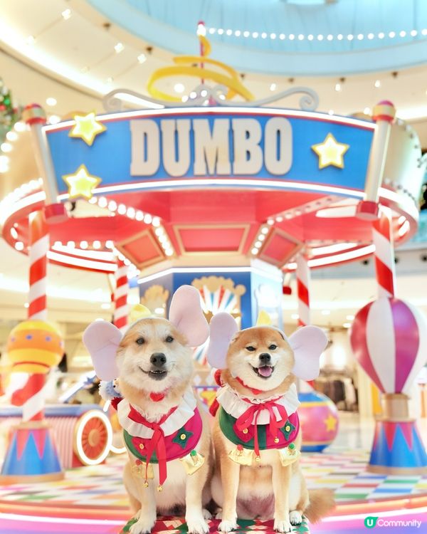 🐘我哋去探Dumbo過聖誕🎄