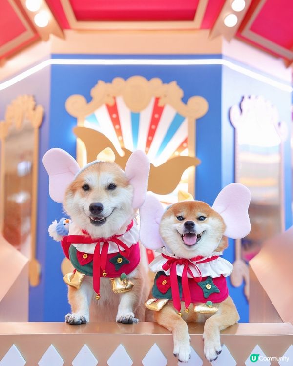 🐘我哋去探Dumbo過聖誕🎄