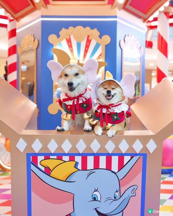 🐘我哋去探Dumbo過聖誕🎄