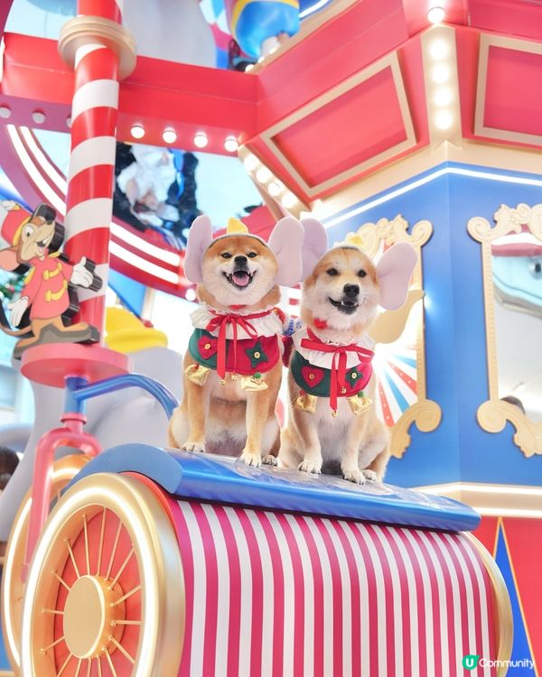 🐘我哋去探Dumbo過聖誕🎄