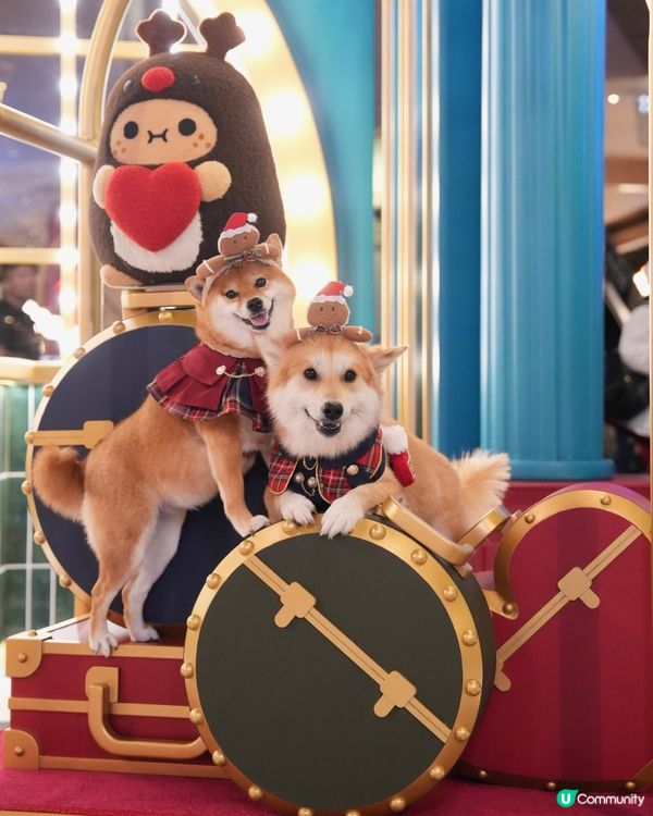 超級可愛嘅Noodoll🥔❤️