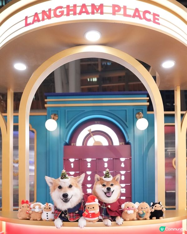 超級可愛嘅Noodoll🥔❤️