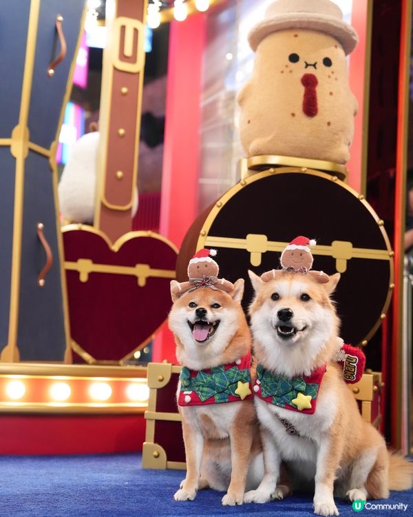 超級可愛嘅Noodoll🥔❤️