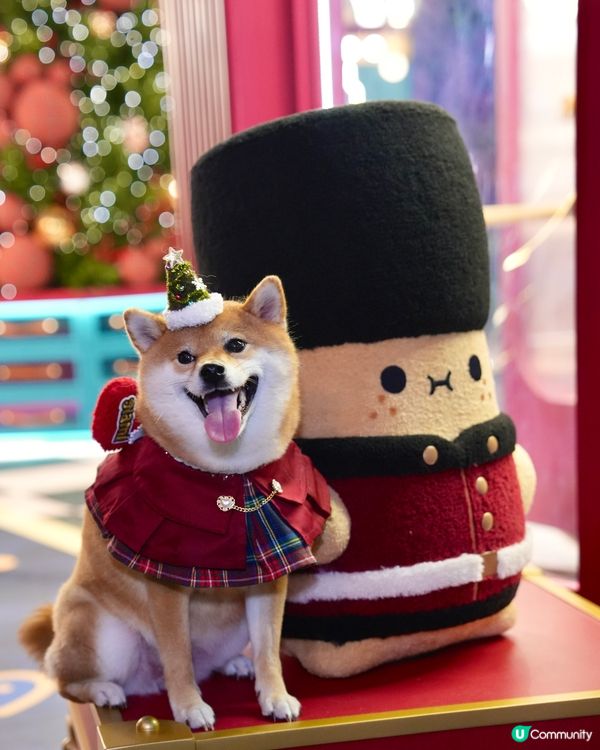 超級可愛嘅Noodoll🥔❤️