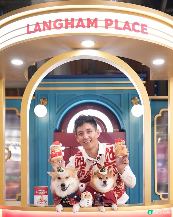 超級可愛嘅Noodoll🥔❤️