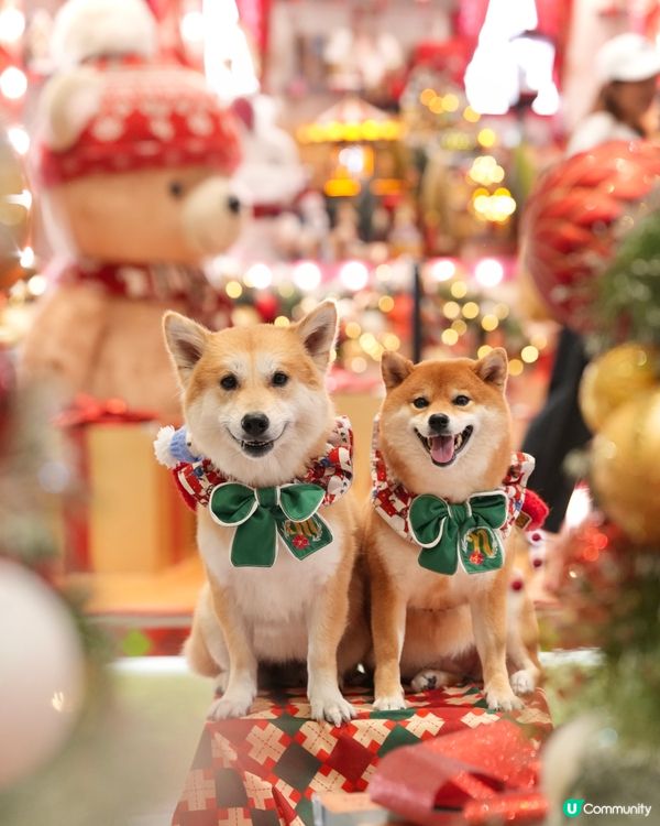 🎄勁靚！必去！聖誕夢幻小鎮🎅🏻