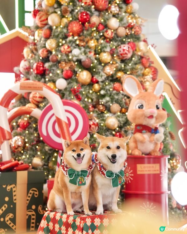 🎄勁靚！必去！聖誕夢幻小鎮🎅🏻